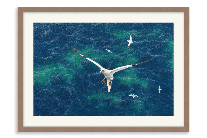 Walnut Frame A3+ - 32.9 x 48.3 cm (+£232.00)